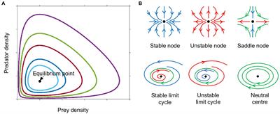 The role of mathematical modelling in understanding prokaryotic predation